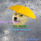 Illustration for article titled Its Raining Cats and Doges!